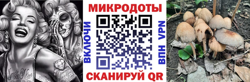 Галлюциногенные грибы Psilocybine cubensis  Чухлома 