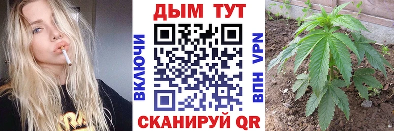 купить   Чухлома  Бошки марихуана индика 